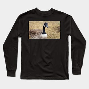 Canada Goose With Sticks In Its Mouth Long Sleeve T-Shirt